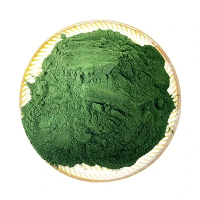 Broken Wall Chlorella-jauhe